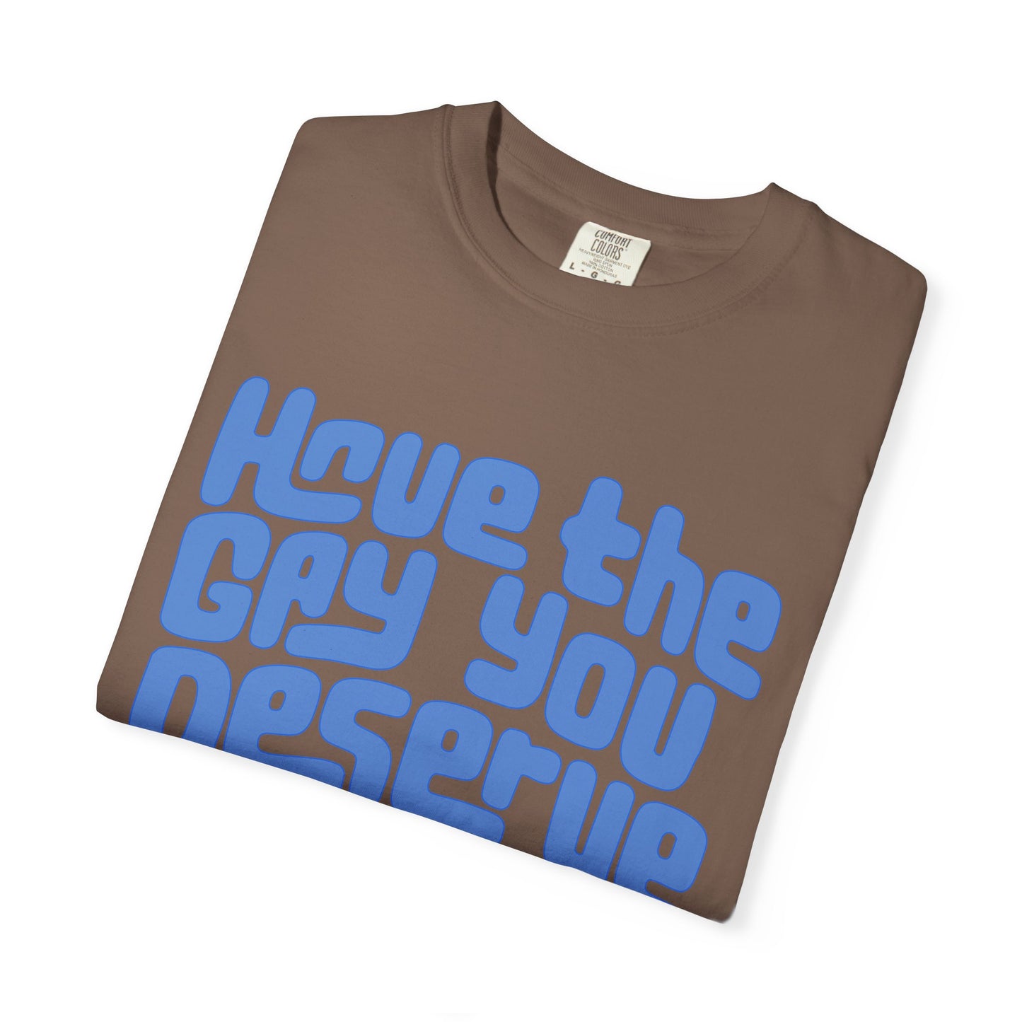 Have the Gay You Deserve | Funny Gay Pride Tee Designed by Queer Energy