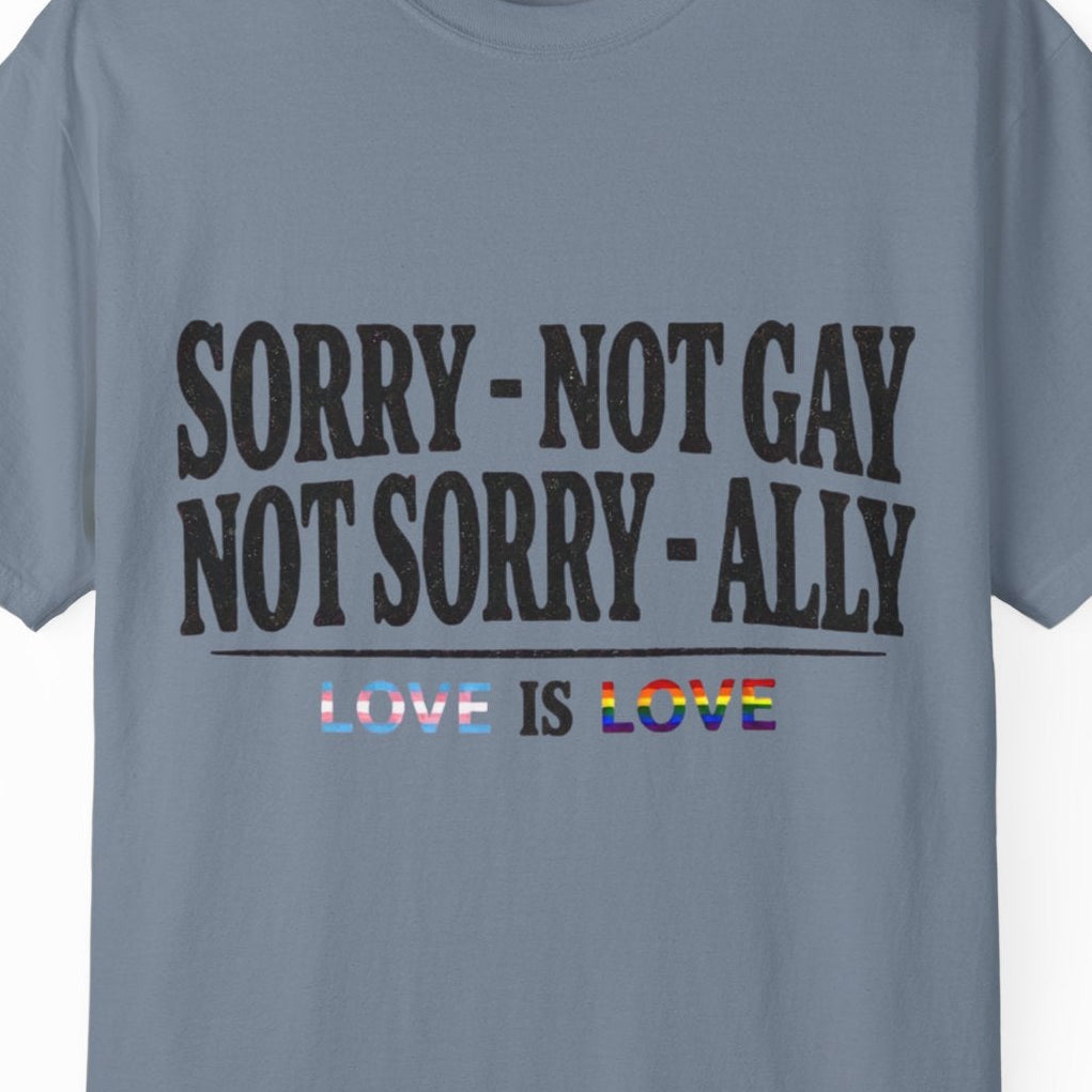 Gay pride Ally blue tee featuring Sorry Not Gay Not Sorry Ally text with Love Is Love by Queer Energy.