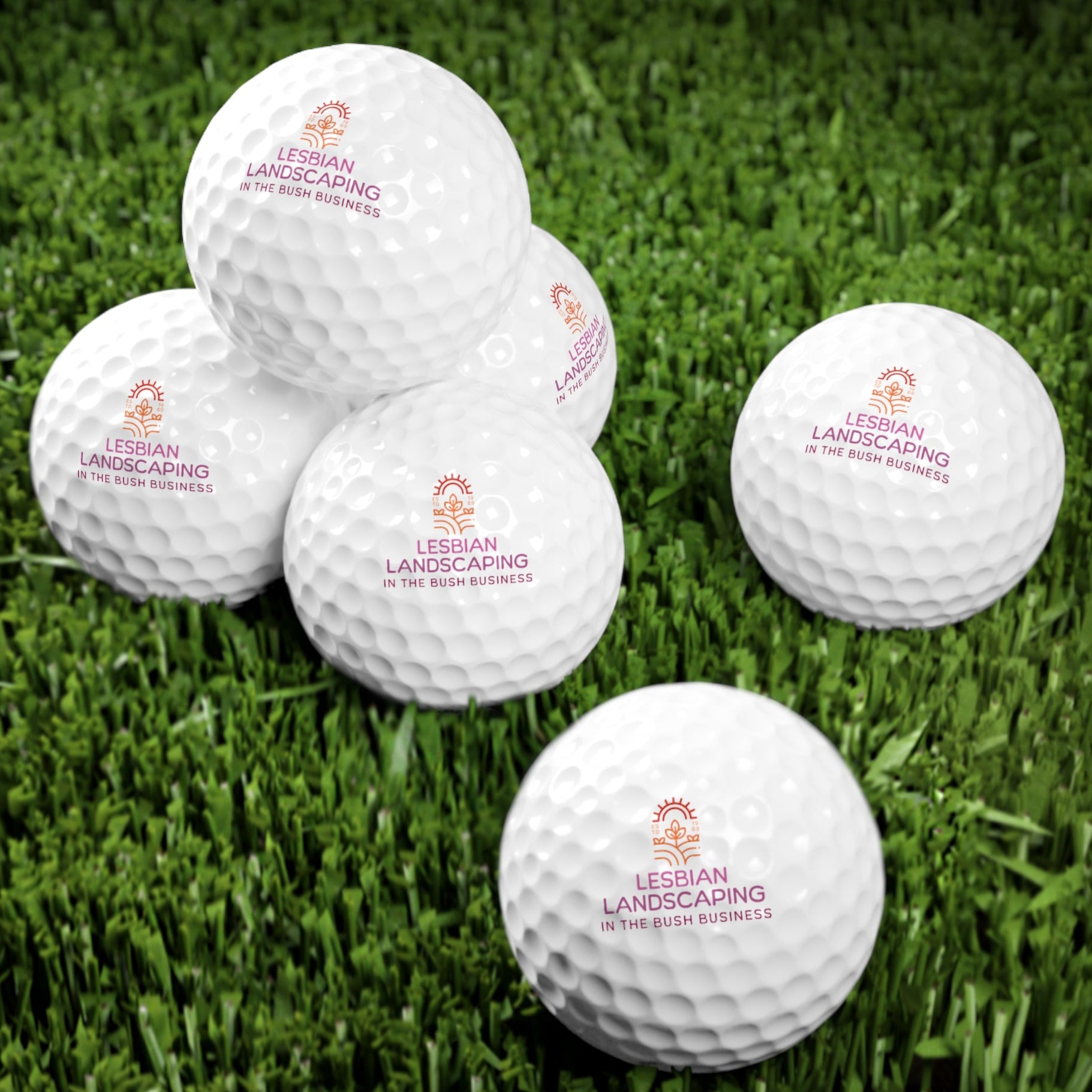 set of golf balls that say Lesbian_Landscaping_-_In_the_bush_business