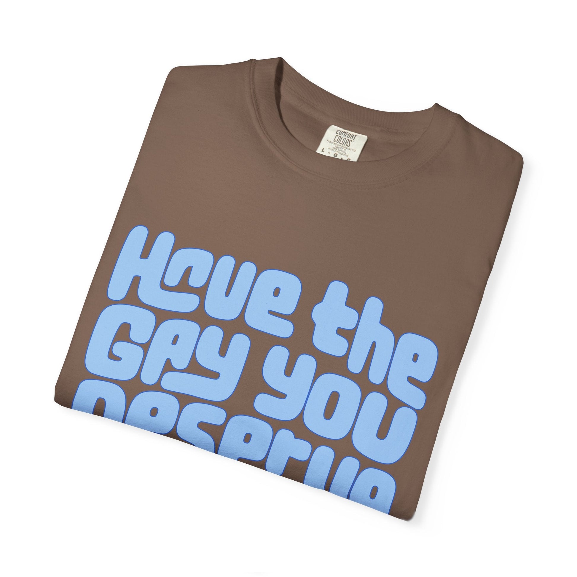 Have the Gay You Deserve | Funny Gay Pride Tee Designed by Queer Energy - Queer Energy