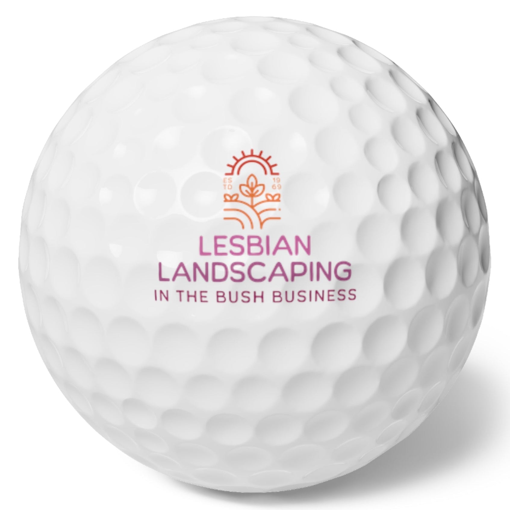 LESBIAN LANDSCAPING - IN THE BUSH BUSINESS | Golf Balls 6pcs Set Lesbian Funny - Queer Energy